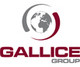 gallice_logo.jpg
